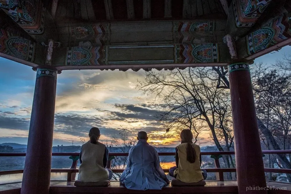 Tâm thức con người cần được nâng cao qua tu tập Phật pháp