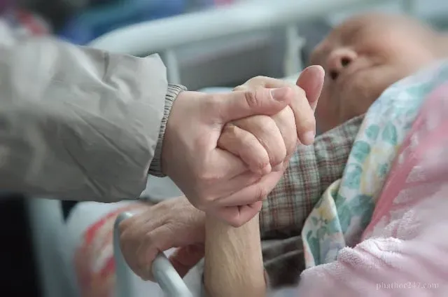 Thân Trung Ấm là giai đoạn quá độ của ý thức sau khi chết