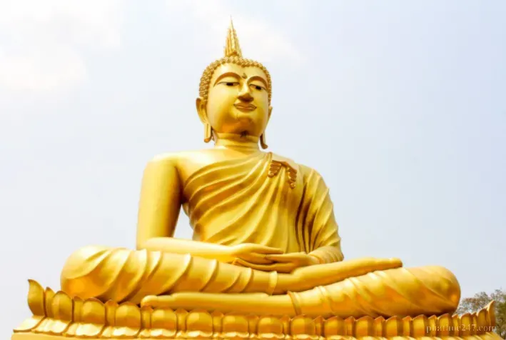 Thiền hành trong khuôn viên chùa với cây cối xanh tươi biểu hiện sự sống động của tu tập Phật giáo