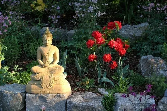 Thiền sư dạy các Phật tử về cách chấp nhận vô thường trong tu tập