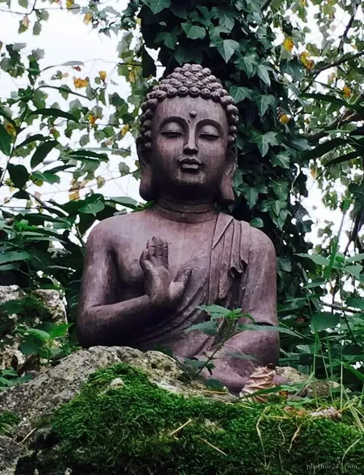 Thiền sư Thích Nhất Hạnh chia sẻ về cách sống hạnh phúc giữa khó khăn