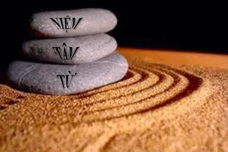 Thiền tập để nuôi dưỡng tâm từ bi và rộng mở cho tất cả chúng sanh