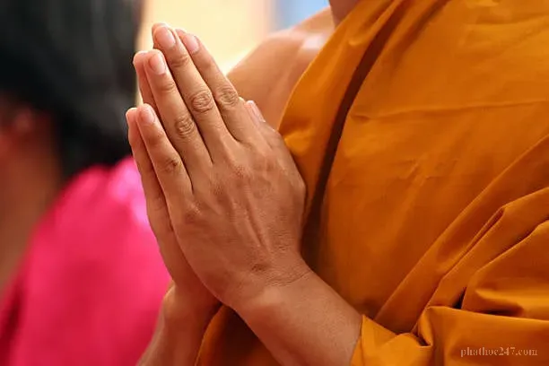 Thọ ký thực sự cần dựa trên sự hiểu biết thật sâu sắc về tu học của người đó