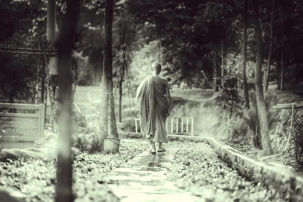 Thực hành chánh niệm qua thiền định giúp tâm trở về an tĩnh và hiện diện