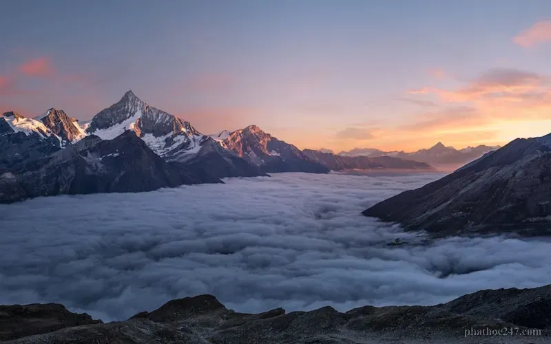 Tịnh Độ Cực Lạc với bảy hàng cây bao quanh, ao sen pháp rộng lớn