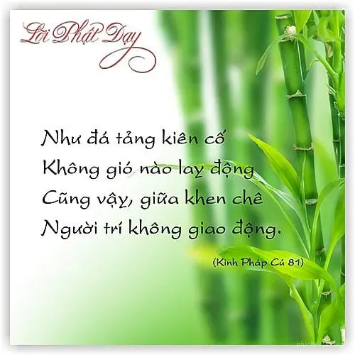 Tình yêu thương và từ bi là nền tảng của con đường Phật giáo