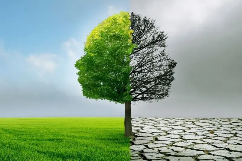 Tôn kính Tam Bảo là nền tảng của sám hối trong Phật giáo