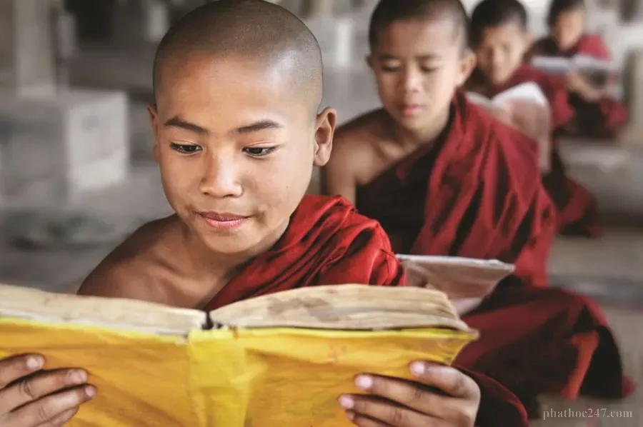 Trí thức cần nghiên cứu sâu Phật pháp để tránh những kết luận sai lầm