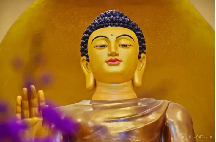 Trí tuệ - ánh sáng soi đường tu hành và giải thoát