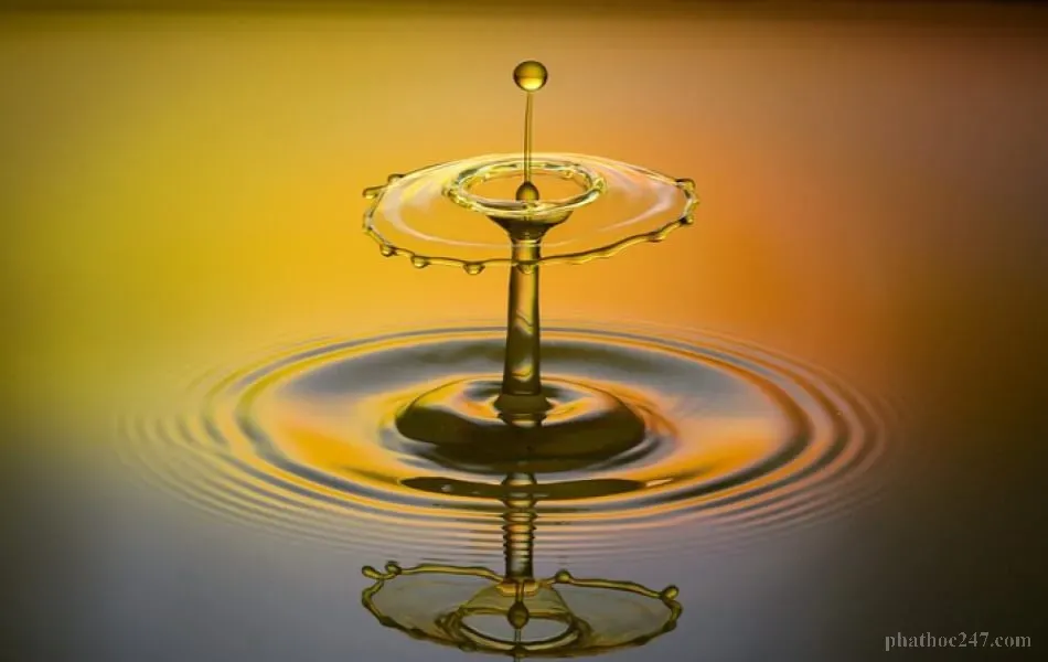 Trong khổ đau có lành, trong lành có khổ, hòa phúc đáp đối trong cuộc sống