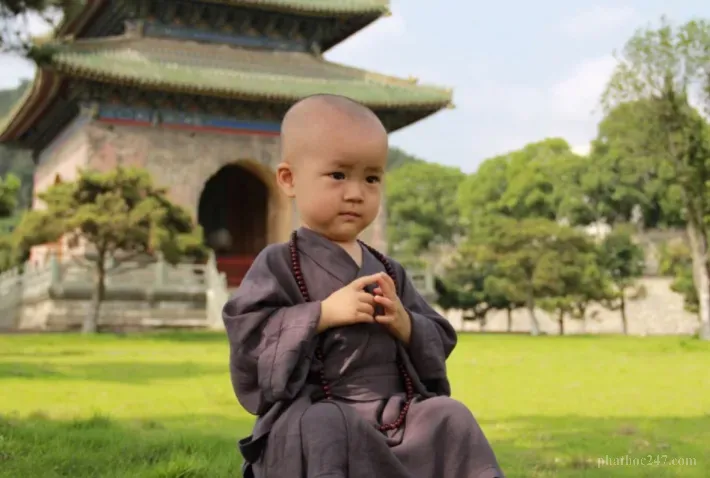 Từ bi là chìa khóa để vượt qua những tổn thương từ lời thị phi