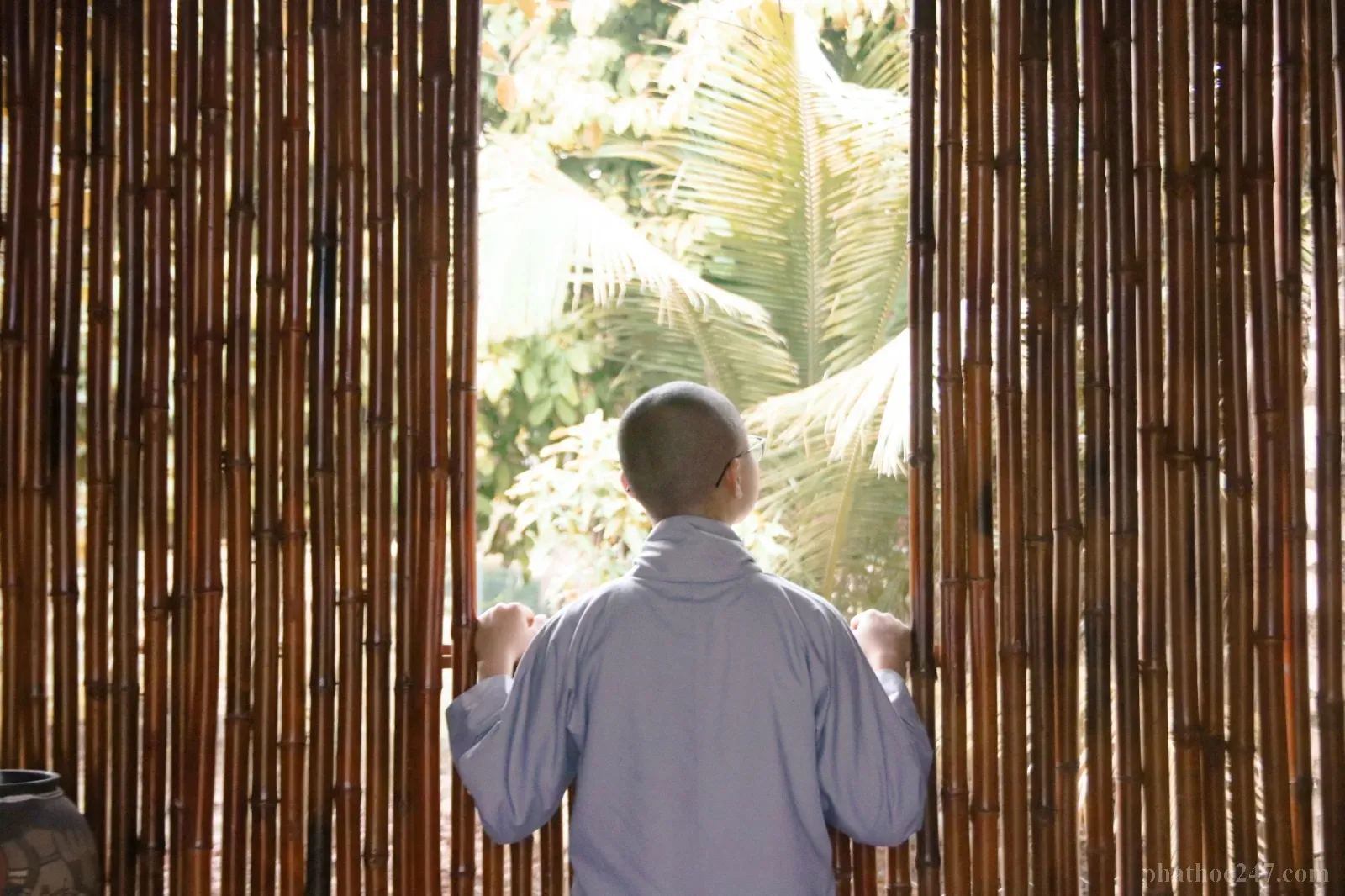 Tự soi chiếu giúp ta phát hiện những điểm cần cải thiện trong tâm mình