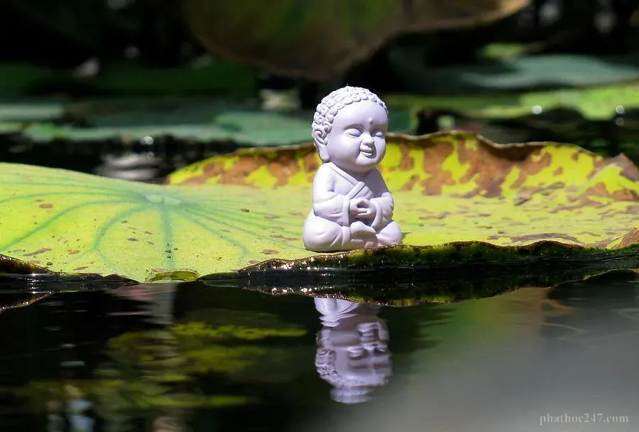 Tuổi trẻ là giai đoạn tu tập nhiều thách thức nhưng cũng tràn đầy cơ hội