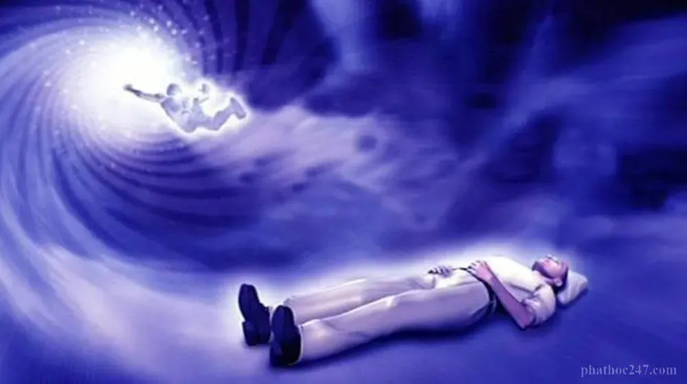 Vô ngã là hiểu biết sâu sắc về bản chất cuộc sống