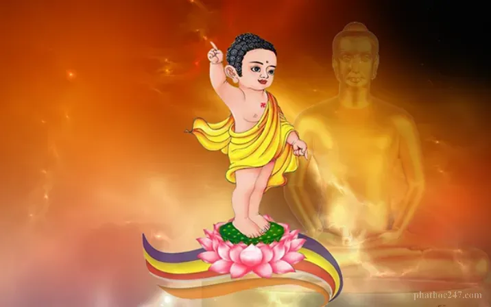 Vua Tịnh Phần xem tướng Bồ Tát sau khi Phật đản sinh ra thế