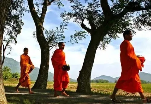 Vườn chùa yên tĩnh nơi những người tu hành thực hành buông bỏ