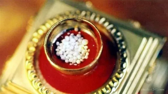 Xá lợi Phật được phân chia và cúng dường tại các quốc gia khác nhau