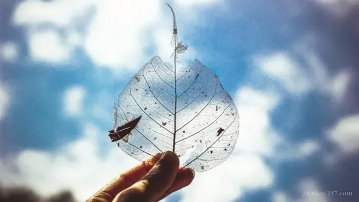 Yêu bản thân chính mình quan trọng như thế nào - Từ bi để bảo vệ bản thân