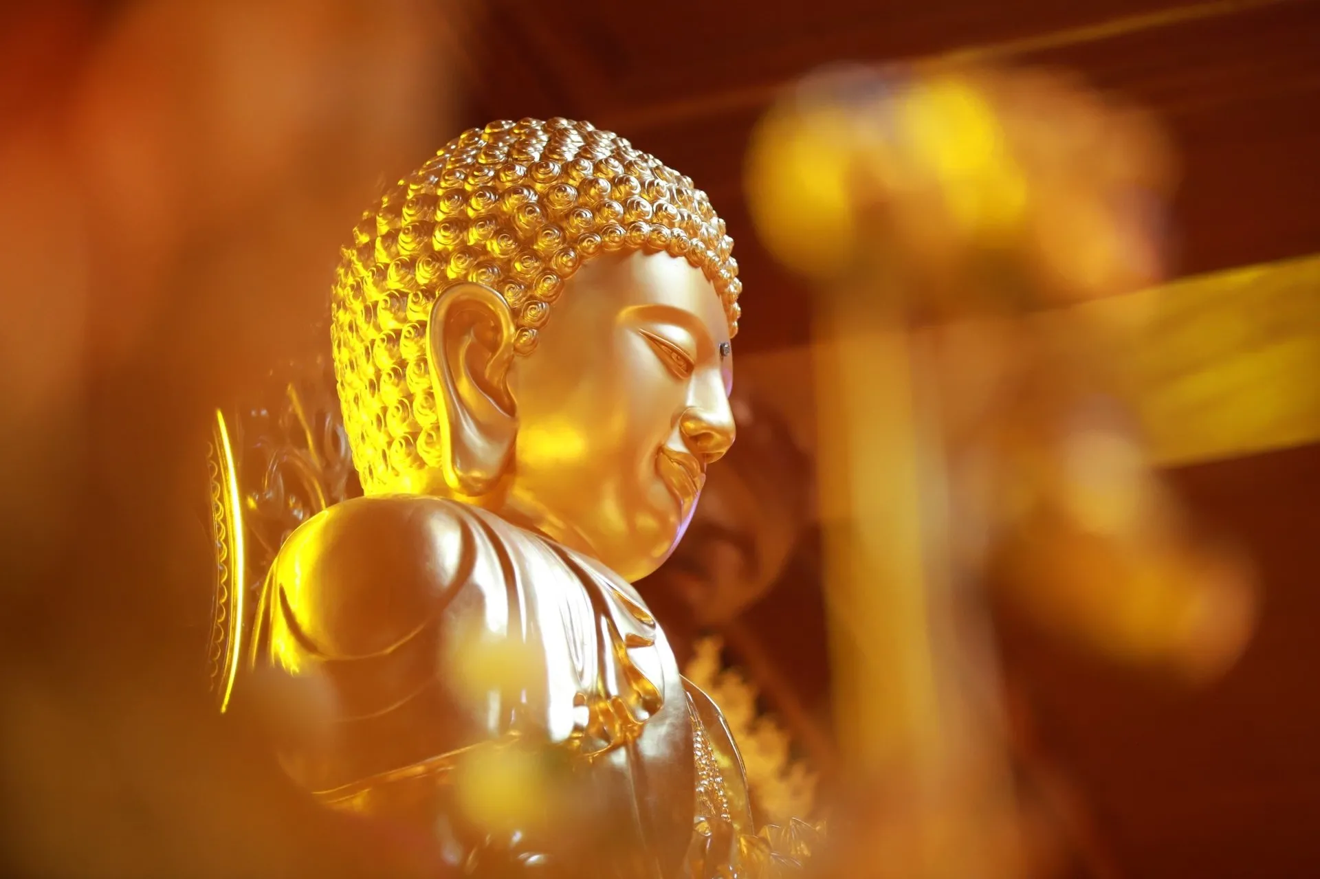 Ánh sáng vàng của Phật Tổ chiếu khắp ba ngàn thế giới, hóa độ vô lượng chúng sinh