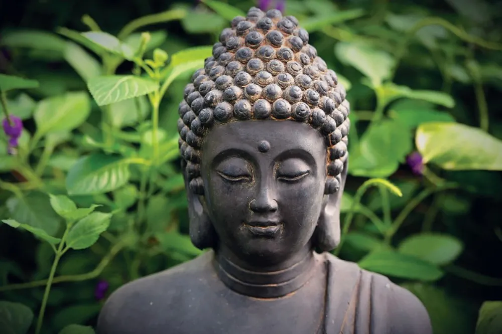 Các nhà sư đang thực hành bộ pháp với sự tập trung, minh họa tinh thần tu tập trong truyền thống Phật giáo