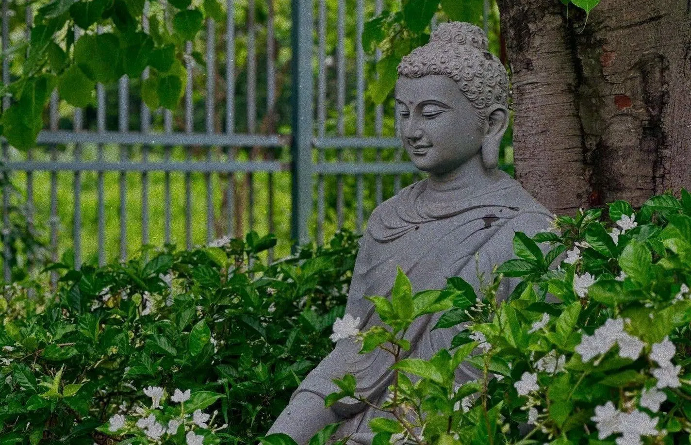 Cây cảnh xanh trong chùa, biểu tượng của sự thanh tịnh và an lạc trong tu tập